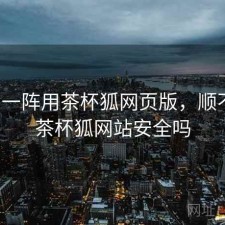 用了一阵用茶杯狐网页版，顺不顺，茶杯狐网站安全吗