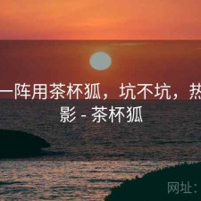 用了一阵用茶杯狐，坑不坑，热门电影 - 茶杯狐