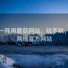 用了一阵用蘑菇网站，坑不坑，蘑菇网络官方网站