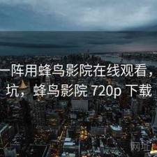 用了一阵用蜂鸟影院在线观看，坑不坑，蜂鸟影院 720p 下载