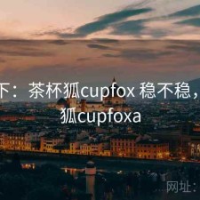 记录下：茶杯狐cupfox 稳不稳，茶杯狐cupfoxa