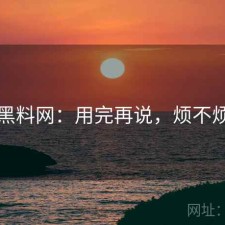 黑料网：用完再说，烦不烦