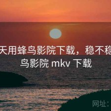 这两天用蜂鸟影院下载，稳不稳，蜂鸟影院 mkv 下载