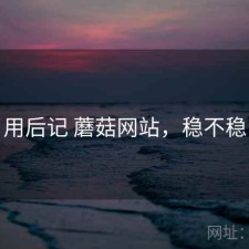 用后记 蘑菇网站，稳不稳