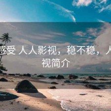 直说感受 人人影视，稳不稳，人人影视简介