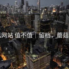 蘑菇网站 值不值｜留档，蘑菇网片