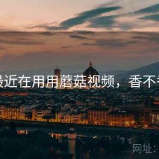 最近在用用蘑菇视频，香不香