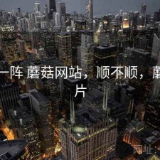 用了一阵 蘑菇网站，顺不顺，蘑菇网片