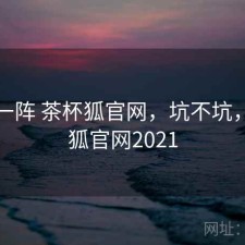 用了一阵 茶杯狐官网，坑不坑，茶杯狐官网2021