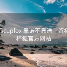 茶杯狐cupfox 靠谱不靠谱｜留档，茶杯狐官方网站