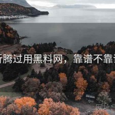 折腾过用黑料网，靠谱不靠谱