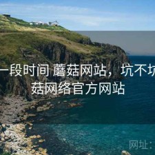 最近一段时间 蘑菇网站，坑不坑，蘑菇网络官方网站