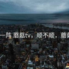 用了一阵 蘑菇tv，顺不顺，蘑菇mo