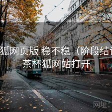 茶杯狐网页版 稳不稳（阶段结论），茶杯狐网站打开