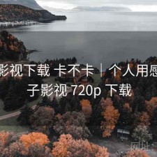 柚子影视下载 卡不卡｜个人用感，柚子影视 720p 下载