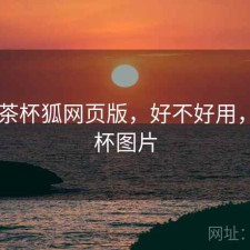 碎念 茶杯狐网页版，好不好用，碎茶杯图片