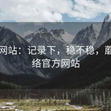 蘑菇网站：记录下，稳不稳，蘑菇网络官方网站