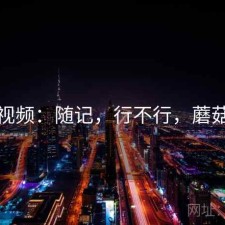 蘑菇视频：随记，行不行，蘑菇视讯