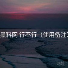 黑料网 行不行（使用备注）