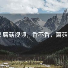 随记 蘑菇视频，香不香，蘑菇视呢