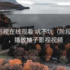 柚子影视在线观看 坑不坑（阶段结论），播放柚子影视视频