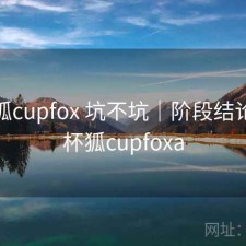 茶杯狐cupfox 坑不坑｜阶段结论，茶杯狐cupfoxa