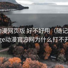 age动漫网页版 好不好用（随记），age动漫官方网为什么打不开