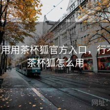 反复用用茶杯狐官方入口，行不行，茶杯狐怎么用