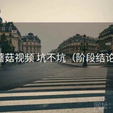 蘑菇视频 坑不坑（阶段结论）