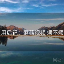用后记：蘑菇视频 烦不烦