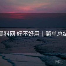 黑料网 好不好用｜简单总结