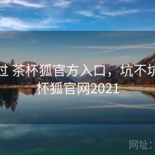 折腾过 茶杯狐官方入口，坑不坑，茶杯狐官网2021