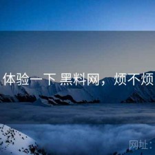 体验一下 黑料网，烦不烦