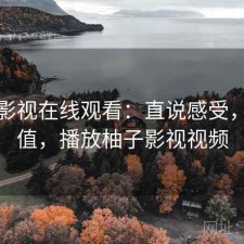 柚子影视在线观看：直说感受，值不值，播放柚子影视视频