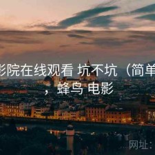 蜂鸟影院在线观看 坑不坑（简单总结），蜂鸟 电影