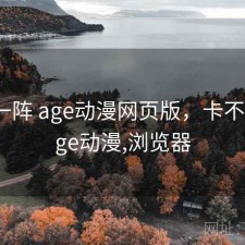 用了一阵 age动漫网页版，卡不卡，age动漫,浏览器