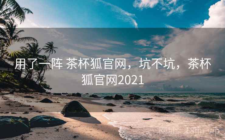 用了一阵 茶杯狐官网，坑不坑，茶杯狐官网2021  第2张