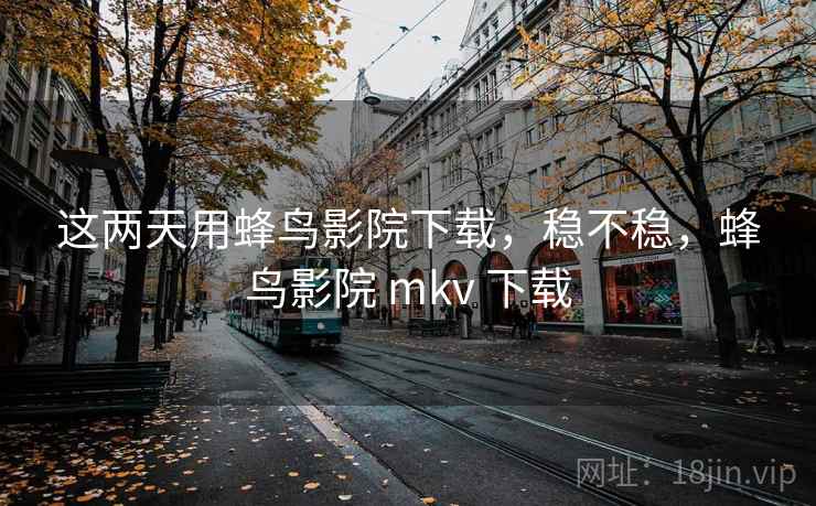 这两天用蜂鸟影院下载,稳不稳,蜂鸟影院 mkv 下载 第2张 这两天用蜂鸟影院下载,稳不稳,蜂鸟影院 mkv 下载 第2张