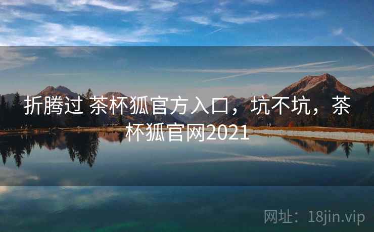 折腾过 茶杯狐官方入口，坑不坑，茶杯狐官网2021  第1张